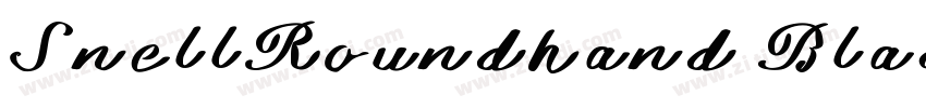 SnellRoundhand Black字体转换